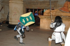 300-Demo-055