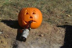 pumpkin2