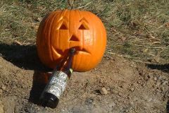 pumpkinbeer