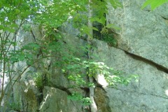 DSC02185