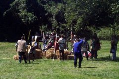 fmw_08