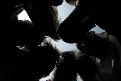 DSCN1884_Large