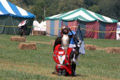 Galatia_202