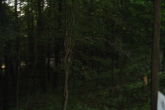 DSC02469
